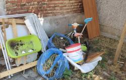 Vercelli, via Felice Monaco: "Non ne possiamo più"