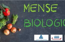 Piemonte: accordo per sostenere l'uso dei prodotti bio nelle scuole