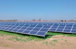 Coldiretti Vercelli-Biella: petizione contro il fotovoltaico a terra