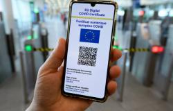 Ecco l'elenco delle attività dove si potrà accedere senza Green pass