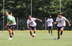 Pro Vercelli: annullata l’amichevole contro il Torino 