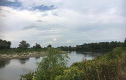 Riqualificazione fluviale: interventi a Caresana e Crescentino