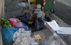 Via Mentana: "Rifiuti sparsi e due bidoncini con un liquido misterioso"