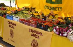 Campagna Amica fa tappa a Vercelli