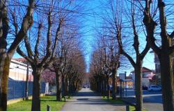 Domenica 26 settembre esordirà "il viale del collezionismo"