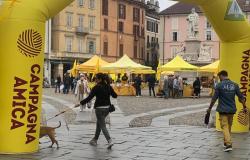 Vercelli: edizione straordinaria del mercato di Campagna Amica