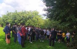 Ipsia Magni e Iti Lirelli: educazione civica tra gli alberi