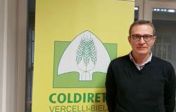 Riso: "Annata difficoltosa ma si prospetta una buona partenza dei mercati"