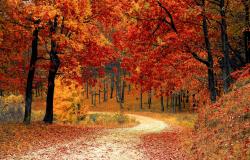 Foliage in Piemonte 2021: i luoghi da non perdere