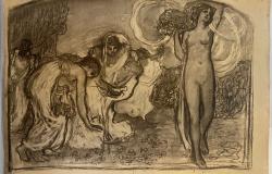 In museo il corpus dei disegni di Leonardo in Bistolfi