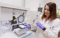 Dieci anni del laboratorio di oncologia molecolare tra diagnosi e ricerca