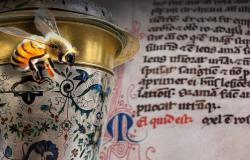 Dolce come l’arte. Il miele tra cultura e apicoltura: visita tematica