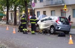 Gattino nel vano motore di un'auto: salvato