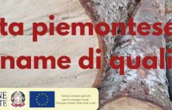 A Cavour la prima Asta del legname di qualità del Piemonte