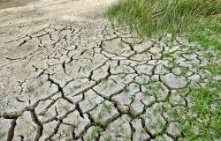 Cambiamenti climatici e giovani: la grande sfida