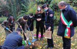 Gli studenti piantumano un "albero per il futuro"