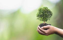Verso un futuro ecologico per il territorio: convegno il 13 dicembre