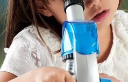 Il bambino è competente