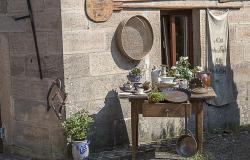  Alle aziende 5 milioni per investire in agriturismo, fattoria didattica