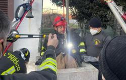 Rive: cane cade in un pozzo e viene salvato dai vigili del fuoco