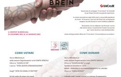 Diapsi Vercelli: ultimo giorno per sostenere "Il mio dono"