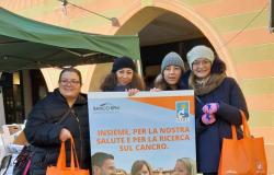 Grande successo per le "Arance della salute" a Vercelli, Prarolo e Desana