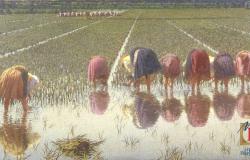 Museo Borgogna: "Per 80 centesimi!" di Morbelli in mostra a New York