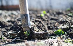 Vercelli: al via i Progetti di pubblica utilità per 7 persone
