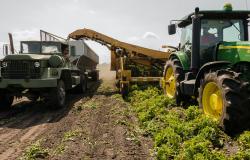 Manovra: "Bene l'arrivo dei buoni lavoro in agricoltura"