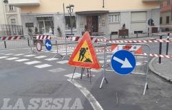Vercelli: deviazione del traffico per le potature in via XX settembre