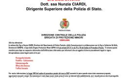 La truffa: "Attenzione alle false mail delle forze dell'ordine"