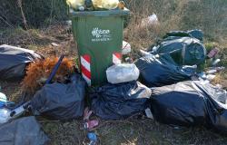 Vercelli: "Ma a che serve quel bidoncino?"