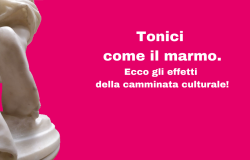 Vercelli: camminata culturale tra le collezione dei musei