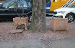 "Vasi rotti e piante secche in viale Rimembranza"