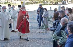 "Solo la pace è giusta e santa"
