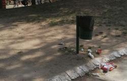 Parco Camana: "Questi sono i cestini nell'area giochi dei bambini"