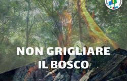 "Non grigliare il bosco": appello per Pasquetta