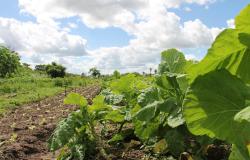 Piemonte: stanziati 5 milioni per sostenibilità e agricoltura biologica