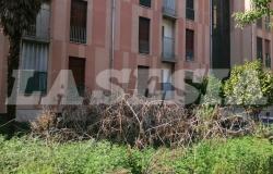 "Insulti, cibo marcio, sporcizia e topi: non ne possiamo più"