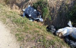 Identificato l'uomo che uccideva i cani