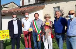 Balconi e aiuole fioriti 2022: al via il concorso