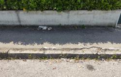 Vercelli: marciapiede pericoloso in via Caboto