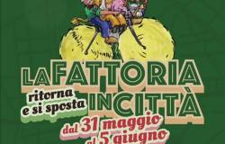 Fattoria in Città: le videointerviste a Santarella, Corsaro e Saggia