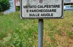 "Forasacchi? Al rione Concordia non li hanno neppure tagliati..."