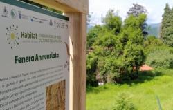  Borgosesia: progetto Habitat per costruire un parco culturale diffuso