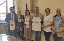 "Andrò a piedi al concerto anti-violenza"