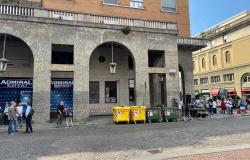 Vercelli: uno sciame d'api "ferma" la Festa della Repubblica