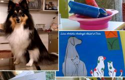 Trino: tre giochi inclusivi per l'infanzia e un progetto di "pet therapy"