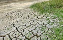 Semine a rischio: poche piogge e temperature sempre in aumento