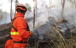 Il Piemonte invia al Sud due colonne mobili contro gli incendi boschivi